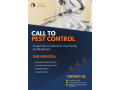 call-to-pest-control-make-your-home-safe-with-usas-1-pest-control-service-small-0