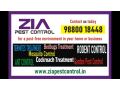 zia-pest-control-services-special-discount-25-off-pg-3072-small-0