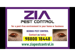 Bedbug service | Paying Guest | Upto 25% Off | Appartment | School | 3090