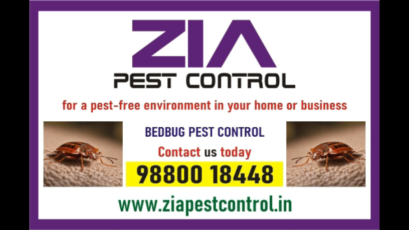 bedbug-service-paying-guest-upto-25-off-appartment-school-3090-big-0