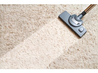 Expert Melbourne Carpet Cleaners for Spotless Floors