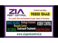 ad-title-headingzia-pest-control-anti-termite-treatment-bedgug-control-30-off-3079-small-0