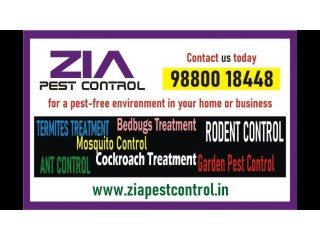 AD TITLE / HEADING	Zia Pest Control | Anti termite Treatment | Bedgug control | 30% Off  | 3079