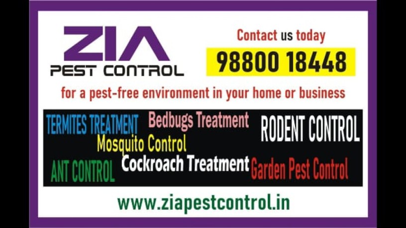 ad-title-headingzia-pest-control-anti-termite-treatment-bedgug-control-30-off-3079-big-0