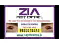 bedbug-pest-control-cleaning-kammanahalli-bengaluru-100-safe-4008-small-0