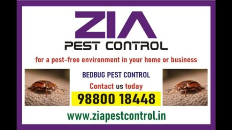 bedbug-pest-control-cleaning-kammanahalli-bengaluru-100-safe-4008-big-0