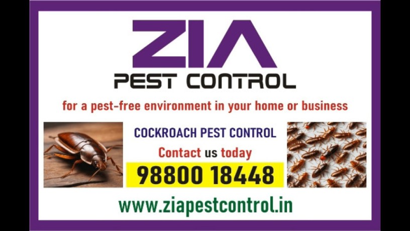 cockroach-cleaning-service-upto-50-off-bangalore-white-field-4013-big-0