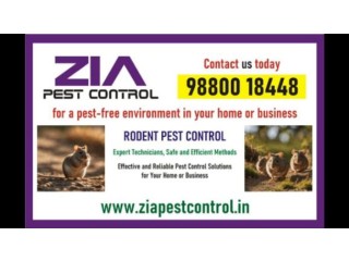 Get rid of Rodent | Rodent control treatment | hotels | 4029 | apartments