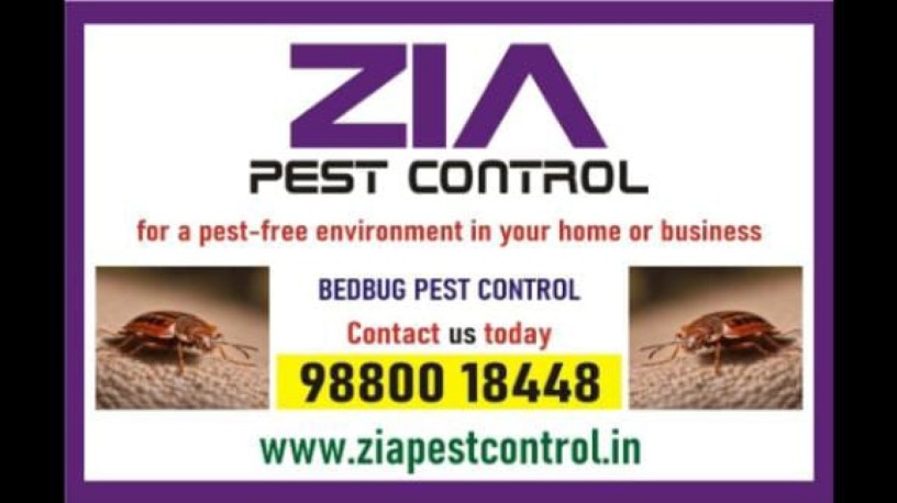 bed-bug-pest-cleaning-commercial-effective-bed-bug-treatment-4094-big-0