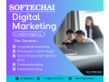 how-digital-marketing-can-grow-your-business-softechai-small-0