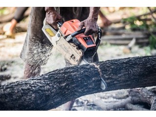 Best Offers on High-Performance Petrol Chainsaws for Easy Cutting!