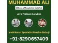 love-marriage-specialist91-8290657409-small-0