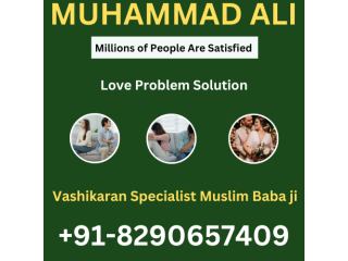 Love Marriage Specialist+91-8290657409