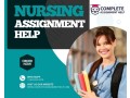 nursing-assignment-help-with-cost-effective-nursing-assignments-by-qualified-writers-small-0