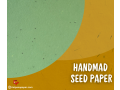 how-to-make-your-seed-paper-at-home-a-step-by-step-guide-small-0