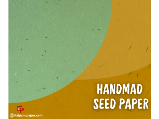 How To Make Your Seed Paper At Home: A Step-By-Step Guide