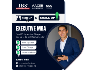 Executive MBA in India: A Guide for Working Professionals