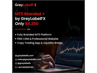 Launch Your Forex Brokerage with Greylabelfx’s MT5 GreyLabel Solution.