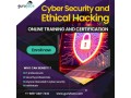 top-cybersecurity-training-start-your-ethical-hacking-journey-small-0