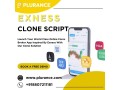 build-a-world-class-high-demand-forex-broker-with-our-exness-clone-script-small-0