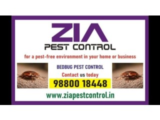 Bed Bugs Pest control | Bed Bugs Treatment | Pest control near me | 8040