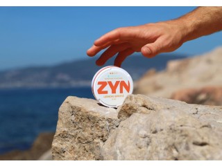 Buy ZYN Menthol 3mg Online – A Cooling blast of icy menthol