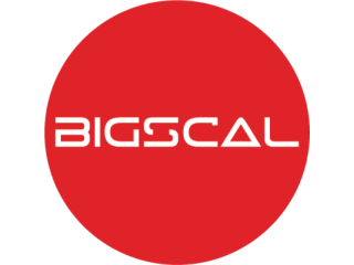 Bigscal The Ultimate Software Development Company