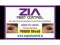 zia-pest-control-services-bed-bugs-control-say-goodbye-to-pests-233-small-0