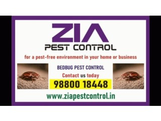 Zia Pest Control Services | Bed Bugs Control | Say Goodbye to Pests! | 233